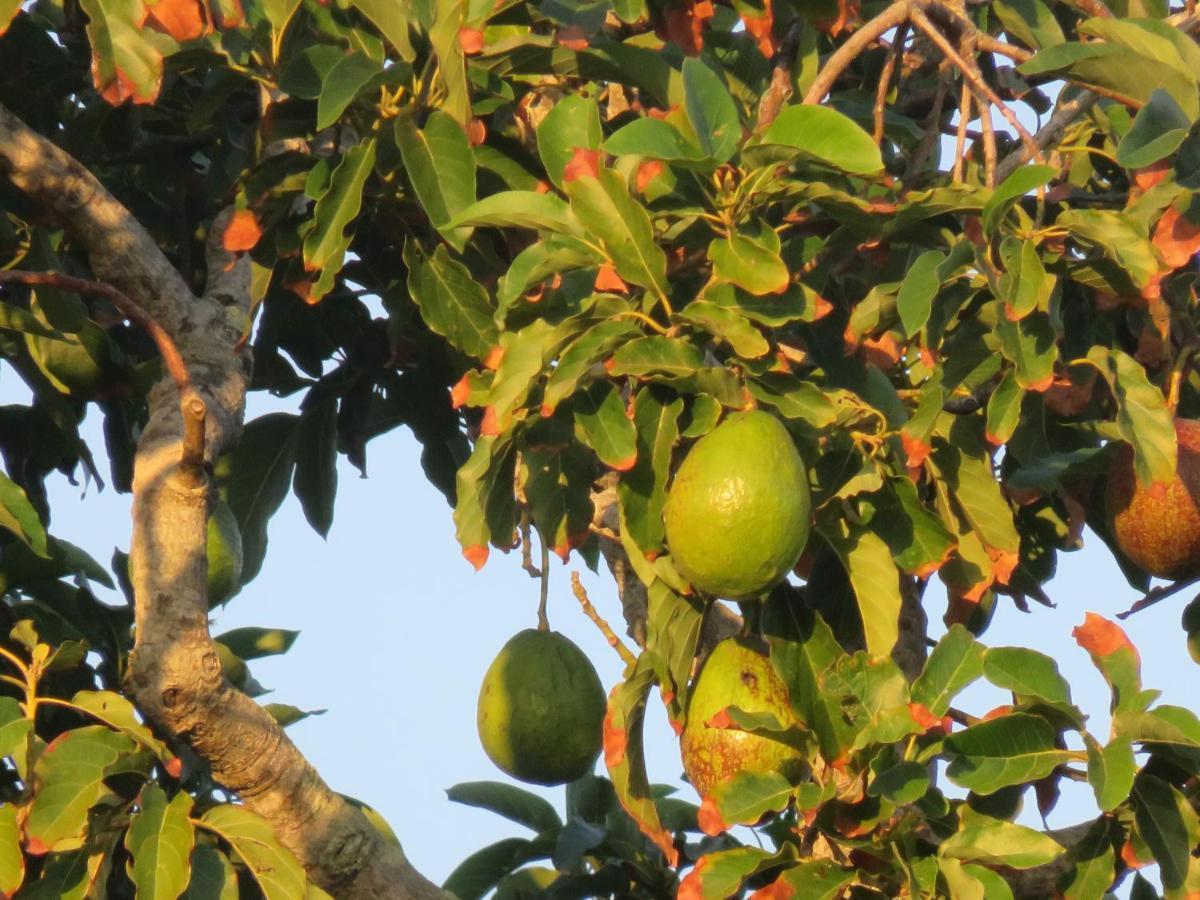 Pousada Biso Finoca Ibiraquera Imbituba  Εξωτερικό φωτογραφία