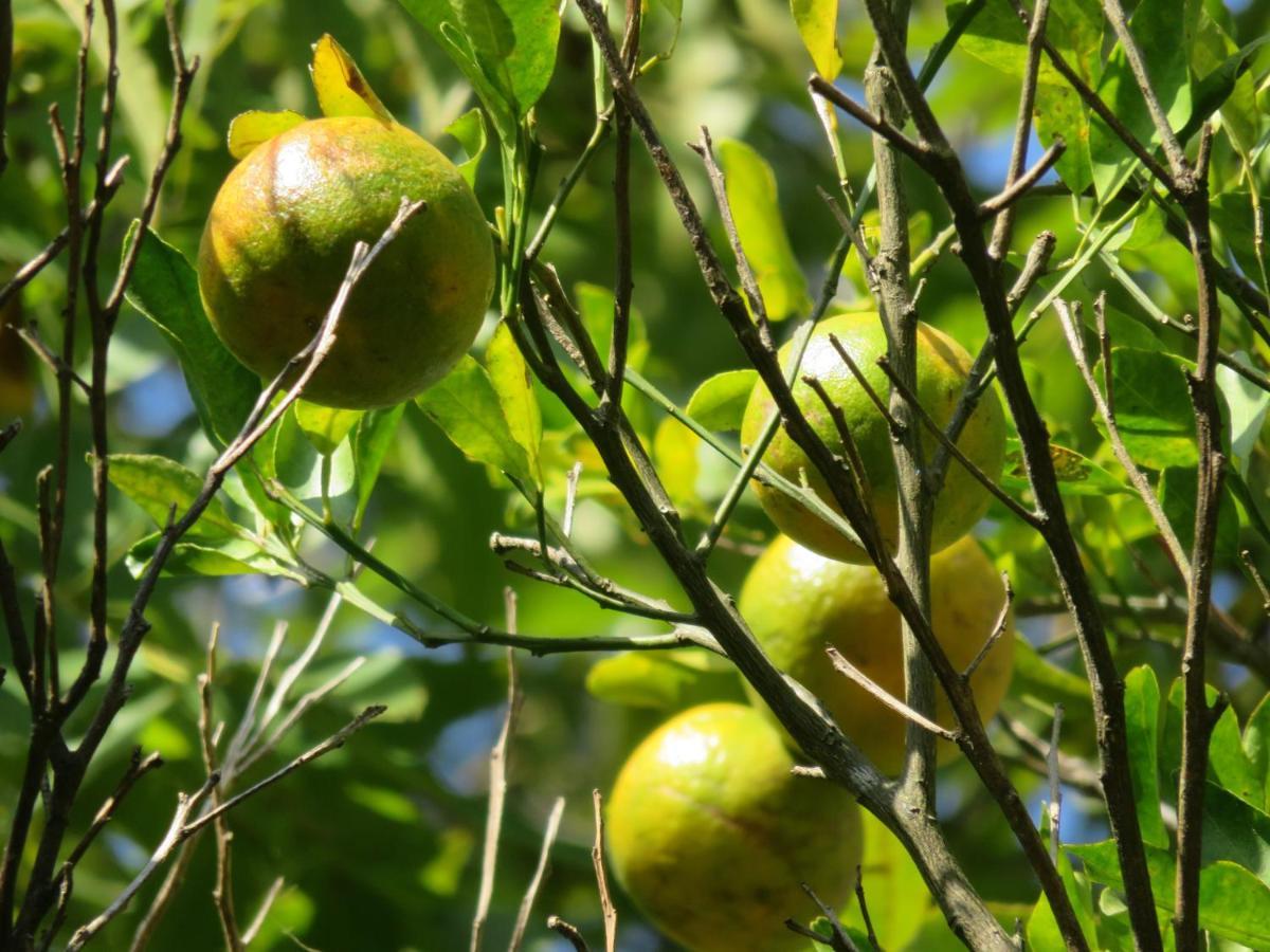 Pousada Biso Finoca Ibiraquera Imbituba  Εξωτερικό φωτογραφία